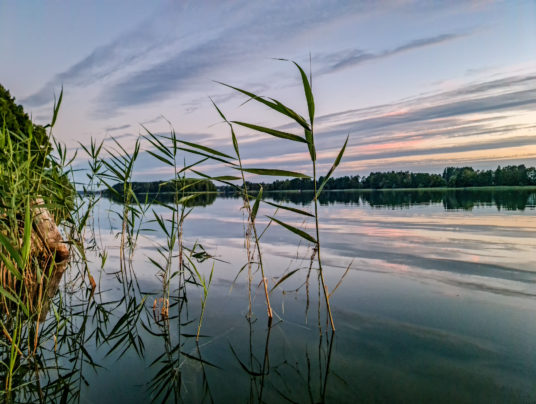 Wypoczynek w trybie SLOWrelax, zdjęcie: wiadomości z SIRVIS - jezioro Serwy - Suwalszczyzna