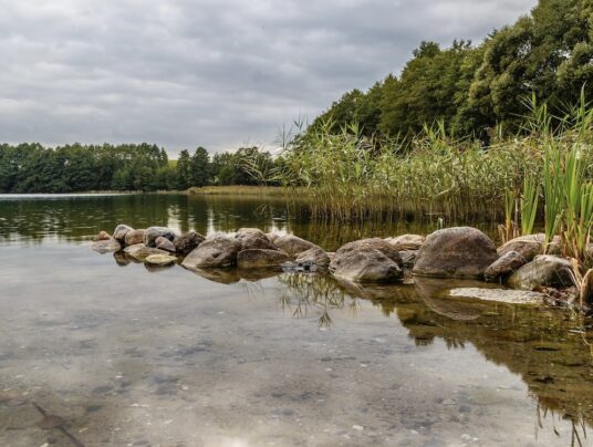Przewodnik po Suwalszczyźnie - Przykładowe realizacje, Białystok, zdjęcie: Przewodnik po Suwalszczyźnie – natura, jeziora i krajobrazy w okolicy SIRVIS nad jeziorem Serwy