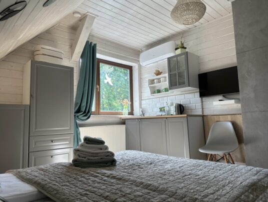 ŻABKORAKI - Galeria, zdjęcie: apartamenty nad jeziorem Serwy - SIRVIS - Suwalszczyzna