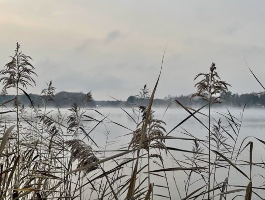 SIRVIS na wodzie, zdjęcie: mgły - SIRVIS - jezioro Serwy - Suwalszczyzna