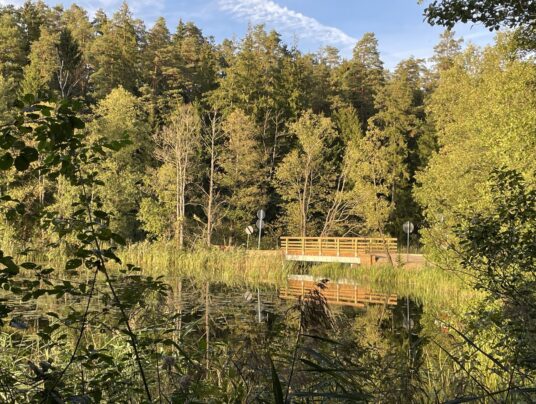 SIRVIS okolice, zdjęcie: Mostek Dowgirda - SIRVIS - Suwalszczyzna