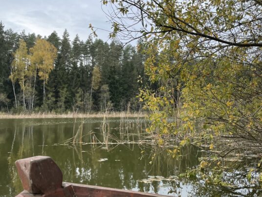 SIRVIS okolice, zdjęcie: na szlaku - SIRVIS - Suwalszczyzna