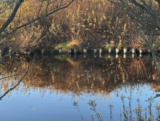 SIRVIS okolice, zdjęcie: nad kanałem - SIRVIS - Suwalszczyzna