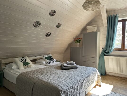 SIRVIS pokoje, zdjęcie: pokój "Żabki" - SIRVIS - jezioro Serwy - Suwalszczyzna