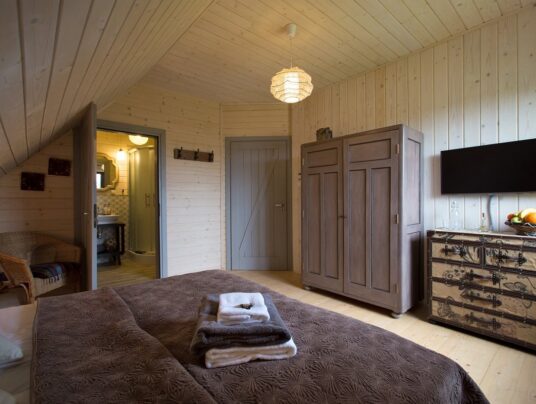 SIRVIS pokoje, zdjęcie: pokój "Dmuchawce" - SIRVIS - jezioro Serwy - Suwalszczyzna