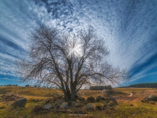 The best of..., zdjęcie: Suwalszczyzna - najpiękniejsze krajobrazy i natura w naszej okolicy | SIRVIS Apartamenty