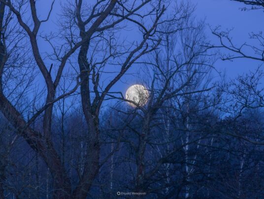 The best of..., zdjęcie: Suwalszczyzna - najpiękniejsze krajobrazy i natura w naszej okolicy | SIRVIS Apartamenty