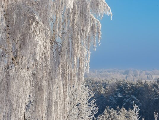 The best of..., zdjęcie: Suwalszczyzna - najpiękniejsze krajobrazy i natura w naszej okolicy | SIRVIS Apartamenty