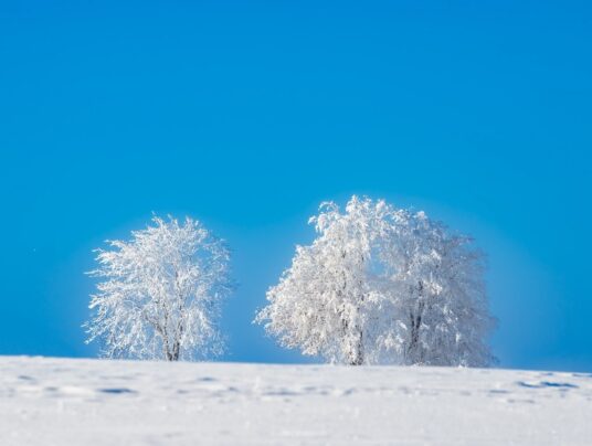 The best of..., zdjęcie: Suwalszczyzna - najpiękniejsze krajobrazy i natura w naszej okolicy | SIRVIS Apartamenty