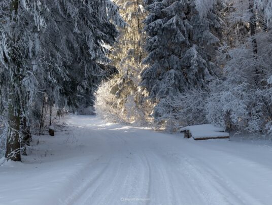 The best of..., zdjęcie: Suwalszczyzna - najpiękniejsze krajobrazy i natura w naszej okolicy | SIRVIS Apartamenty