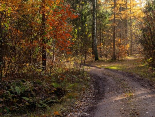 The best of..., zdjęcie: Suwalszczyzna - najpiękniejsze krajobrazy i natura w naszej okolicy | SIRVIS Apartamenty