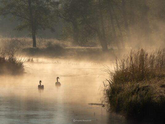 The best of..., zdjęcie: Suwalszczyzna - najpiękniejsze krajobrazy i natura w naszej okolicy | SIRVIS Apartamenty