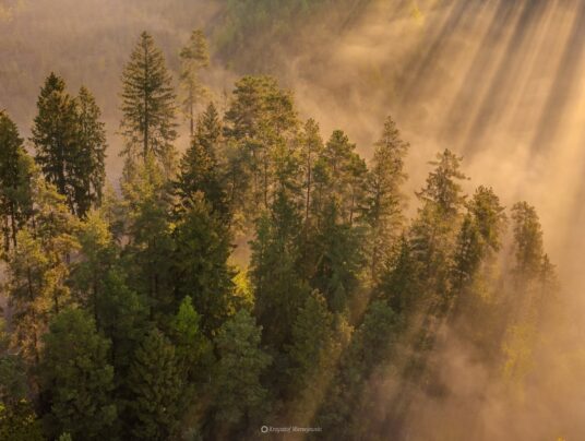 The best of..., zdjęcie: Suwalszczyzna - najpiękniejsze krajobrazy i natura w naszej okolicy | SIRVIS Apartamenty