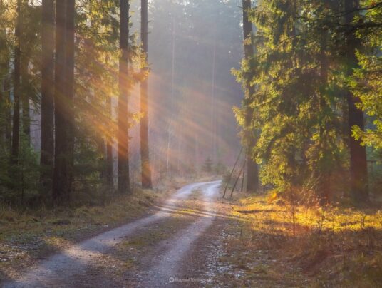 The best of..., zdjęcie: Suwalszczyzna - najpiękniejsze krajobrazy i natura w naszej okolicy | SIRVIS Apartamenty