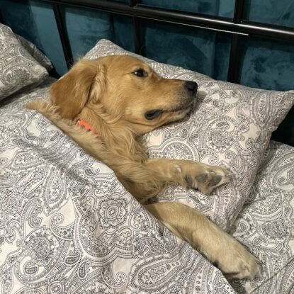 SIRVIS nad Jeziorem Serwy - relaks przed treningiem - SLOWlife